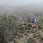 Climbing up Mt. Kilimanjaro