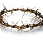 Crown-of-Thorns