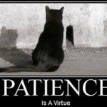 patience