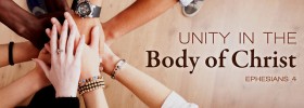 unity in the Body