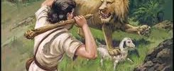 david vs lion