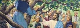 zacchaeus